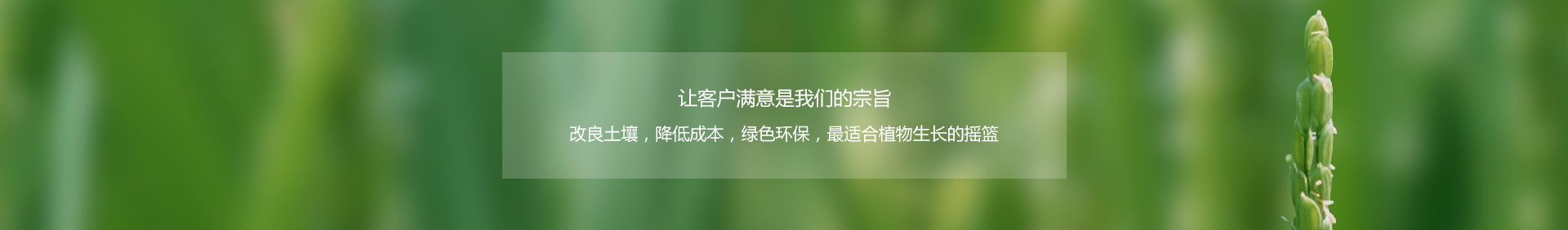 淄博琛沣肥业有限公司