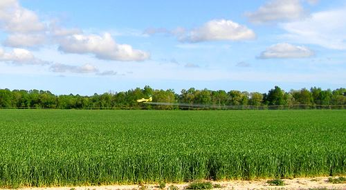 淄博琛沣有机肥厂家 淄博琛沣有机肥厂家